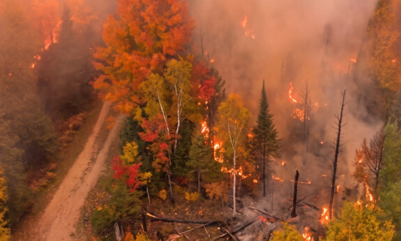An aerial photo of a forest wildfire.